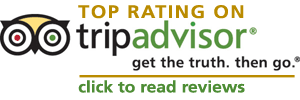 Razor Tours has changed name to TAURO Tours. Top Rating Tours on Trip Advisor, Read our Excellent Online Reviews.
