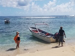 Snorkeling Tours in Samana Bay Dominican Republic + Lunch at Cayo Levantado island.