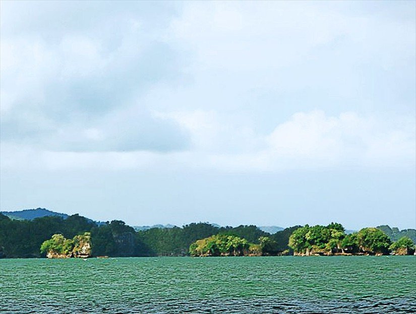 Los Haitises National Park Tour & Excursion - Caves & Mangroves Tour in Samana Dominican Republic.
