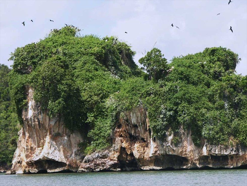 Haitises Park Tour & Excursion in Samana.