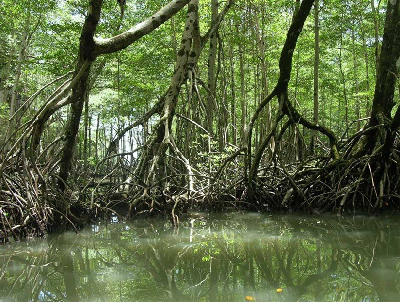 Haitises National Park Tour in Samana Dominican Republic.