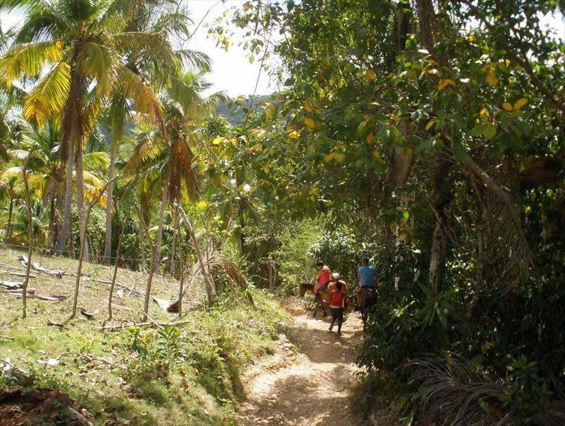 Cascada Limon Waterfall Excursion in Samana DR.