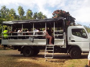 Safari Excursions & Tours in Samana Peninsula Dominican Republic.