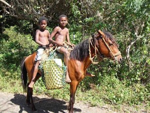 Safari Excursions & Tours in Samana Peninsula Dominican Republic.