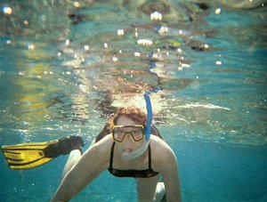 Do the Best Snorkeling Tours in Samana Bay Dominican Republic during your vacation.