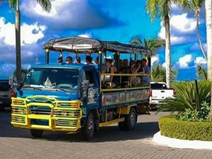 Playa Rincon Beach Tour for Cruise Ship - Excursion to Famous Playa Rincon Beach in Samana Peninsula, Dominican Republic.